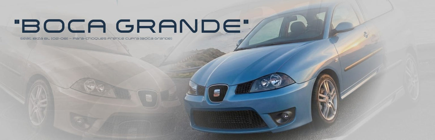 Grelhas Frontais Favinho (Honeycomb) - SEAT Ibiza 6L (02 - 05) - Creativ 3D