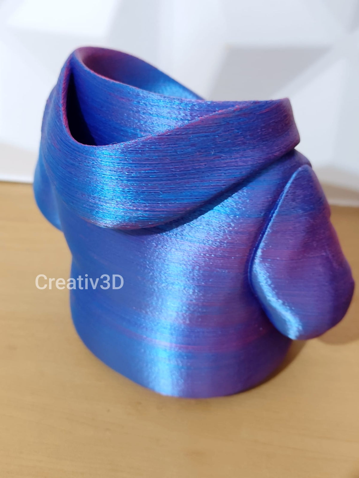 Organizador Hoodie 3D - Porta Canetas e Comandos - Creativ 3D